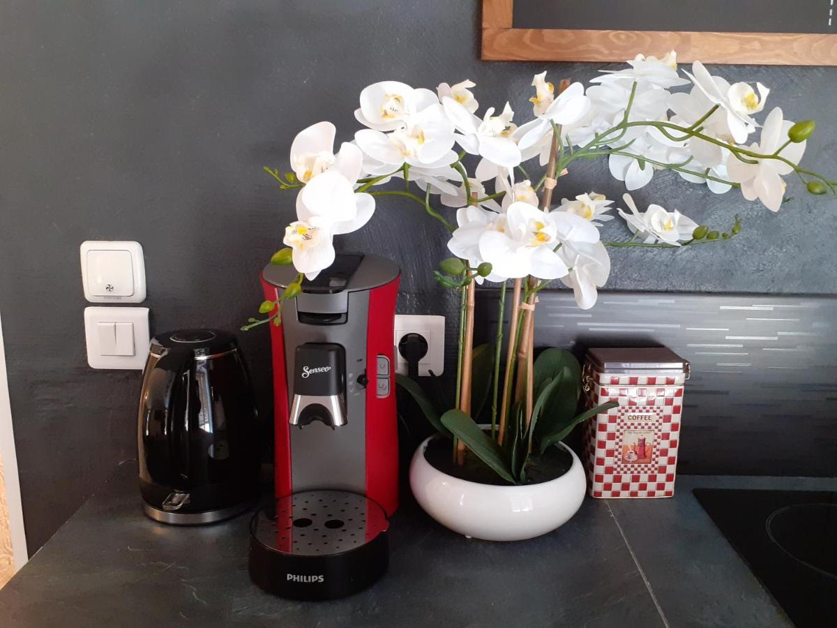 Le Tourny-Studio Cosy Sarlat - Coeur Cite Medievale Kültér fotó